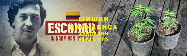 PSILOCYBIN Тихвин