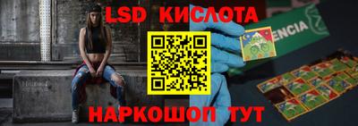 спайс Берёзовский