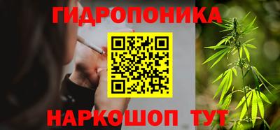 спайс Берёзовский