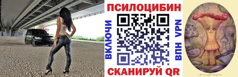 Псилоцибиновые грибы GOLDEN TEACHER  Екатеринбург 