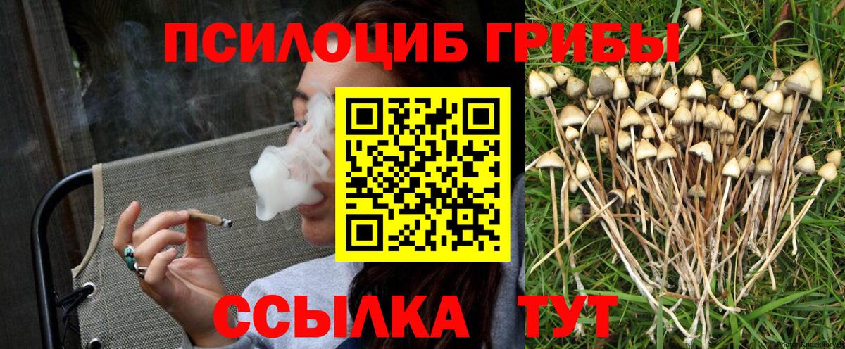 Галлюциногенные грибы прущие грибы Екатеринбург