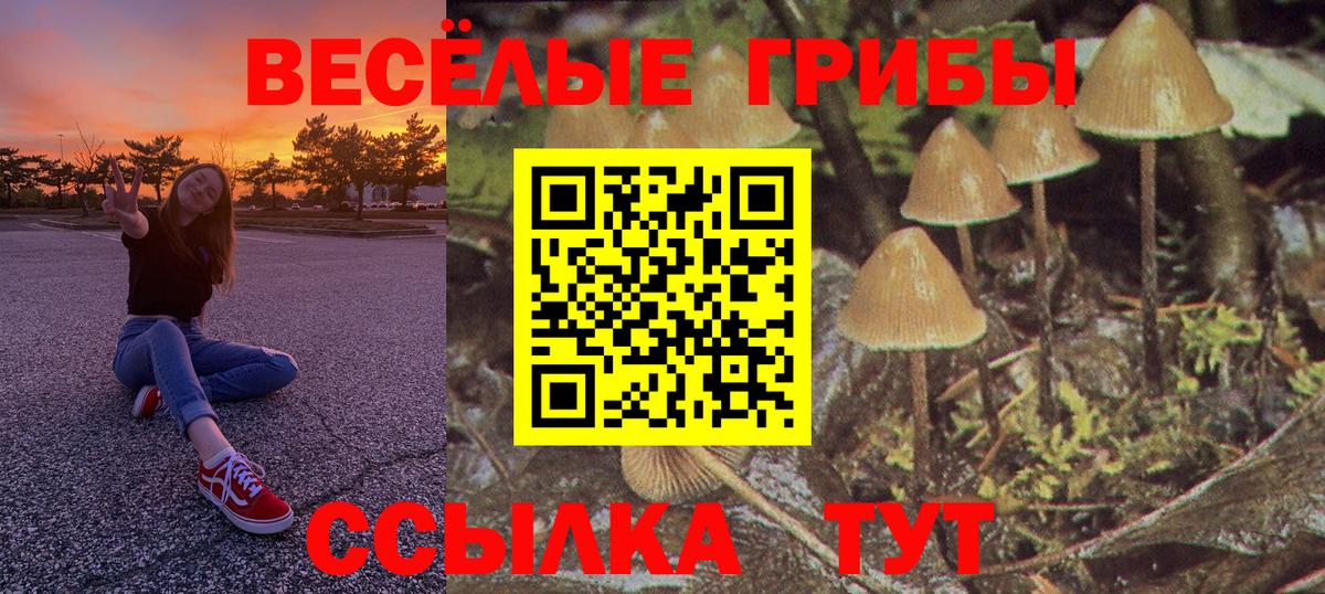Галлюциногенные грибы GOLDEN TEACHER  Вход с VPN  Екатеринбург 