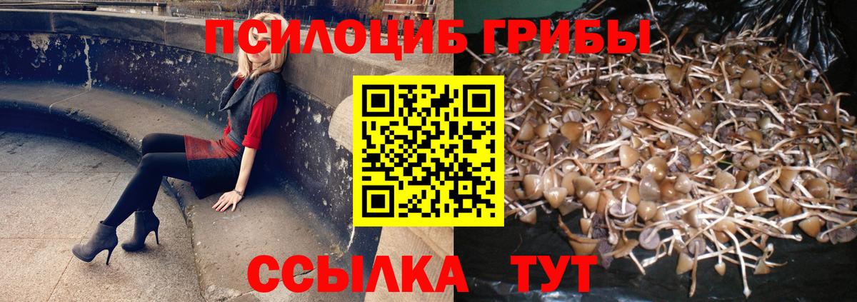Псилоцибиновые грибы Magic Shrooms  Екатеринбург  Галлюциногенные грибы Magic Shrooms 